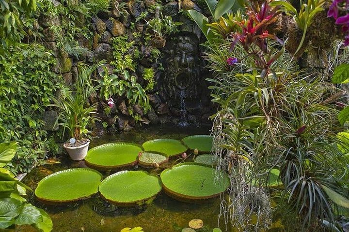 La Mortella Garden - Particular