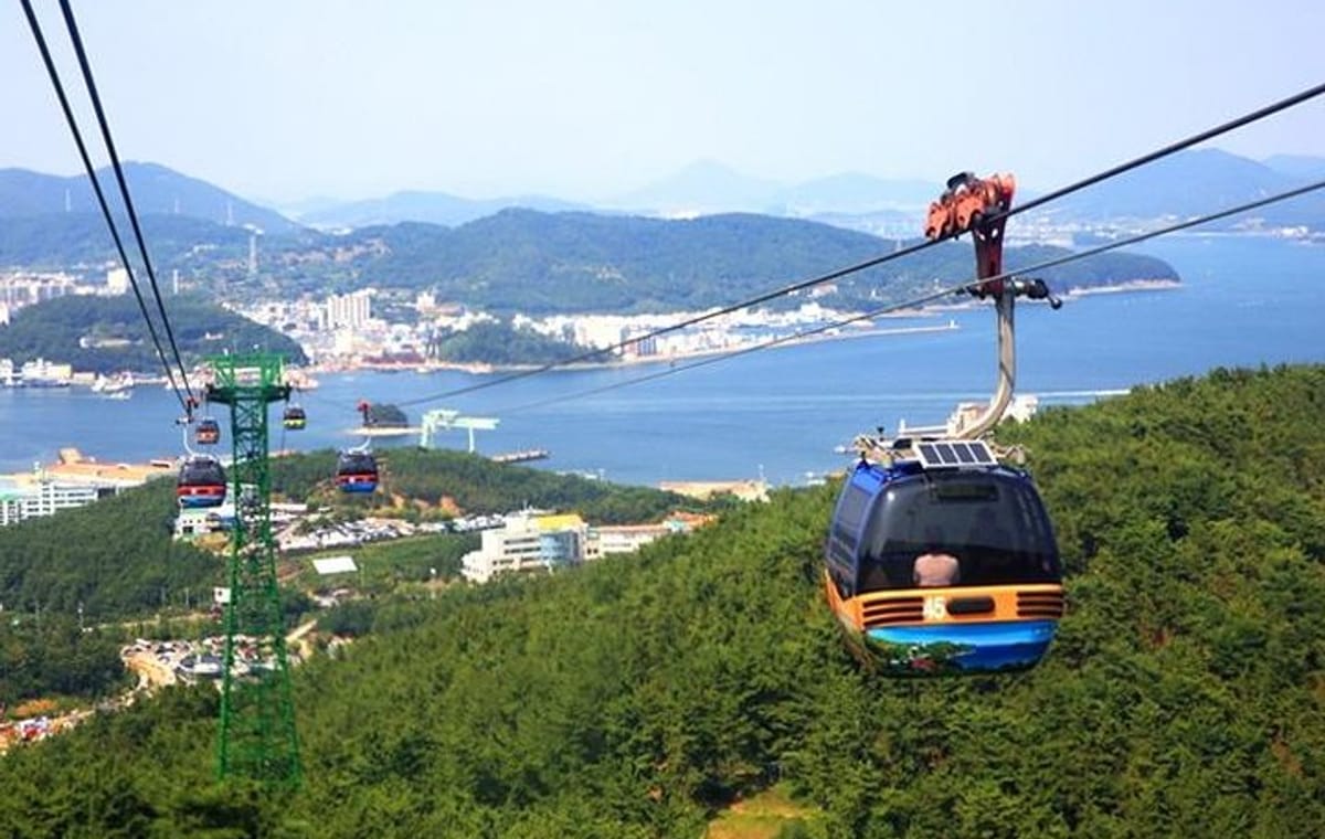 5 Day Private from Busan to Seoul,Gyeongju,Tongyeong, Boseong Green Tea Field