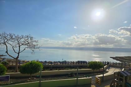Private Half-Day Tour to the Dead Sea from Amman