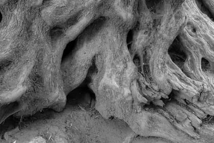 3day Rock Climbing Trip in Crete (Chania or Heraklion)