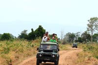 Udawalawe Safari Tour from Tangalla 7