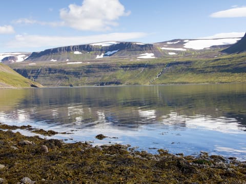 4 days - Wild Westfjords, photo 3