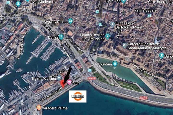 Full-Day Mallorca Caves Tour: Drach, Hams & Pearl Factory Visit 3