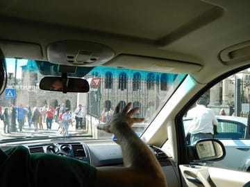 Sightseeing tour with driver guide
