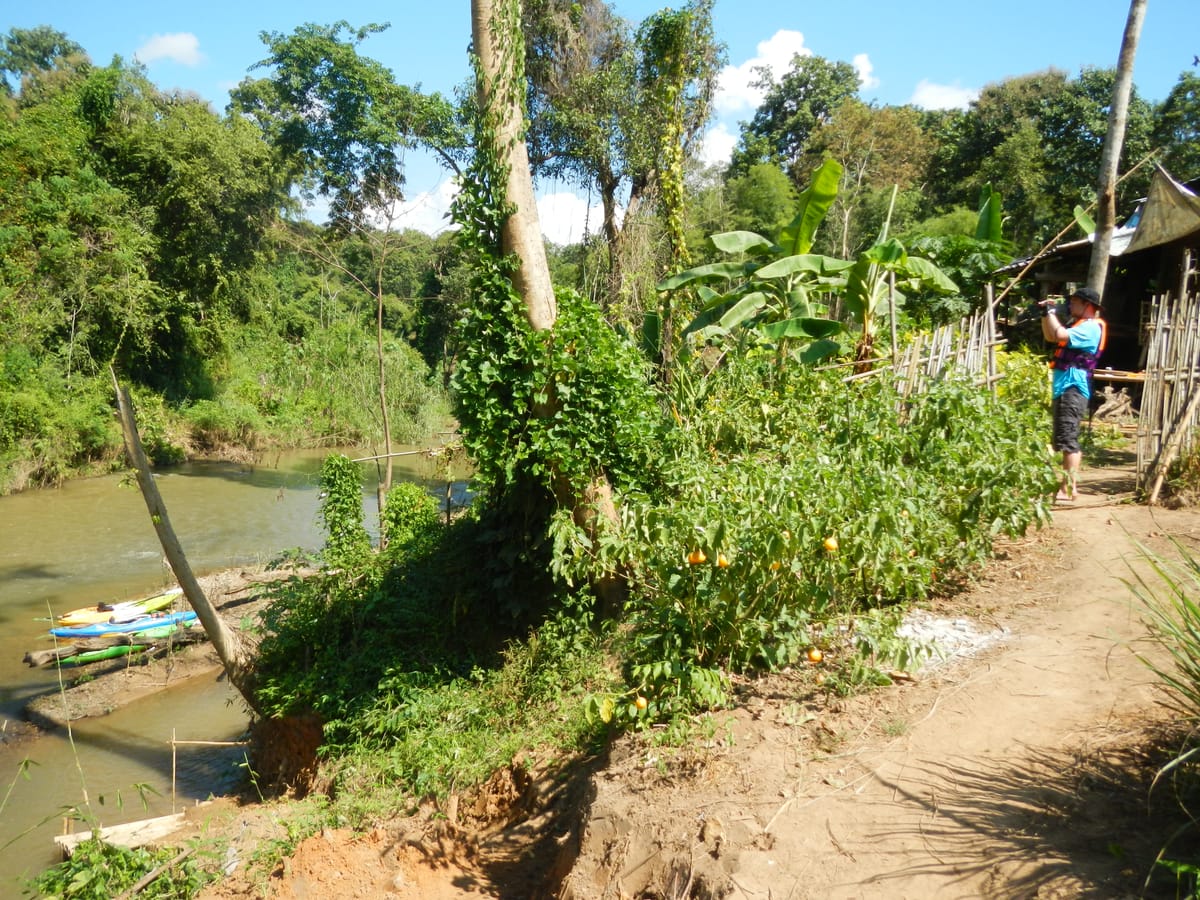 Chiang mai Suthep National Park Leisure Hiking & Mountain Biking