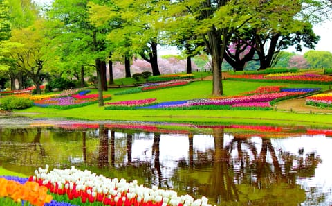 Private 9-Day Van Tour of Amsterdam, Brussels, and Paris