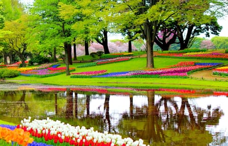 Private 9-Day Van Tour of Amsterdam, Brussels, and Paris