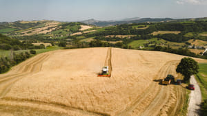 Mastio brewery tour with beer tasting