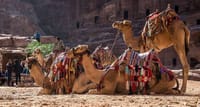 Best of Egypt and Jordan 10 Days  1