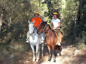 Horseback Riding Safari in Antalya's Forest and Beach
