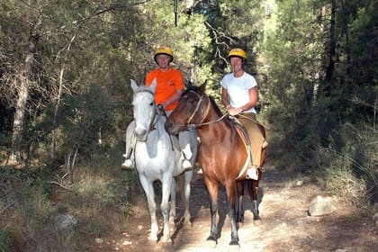 Side Horse Safari in Forest and Beach with Transfer