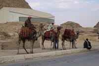 Private tour to Giza Pyramids and Dinner Nile Cruise 6