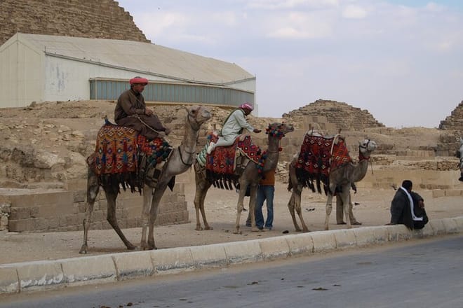 Private tour to Giza Pyramids and Dinner Nile Cruise 6