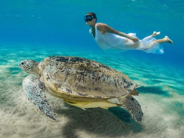 Premium Abu Dabbab Elite Turtle House & Snorkeling – Hurghada