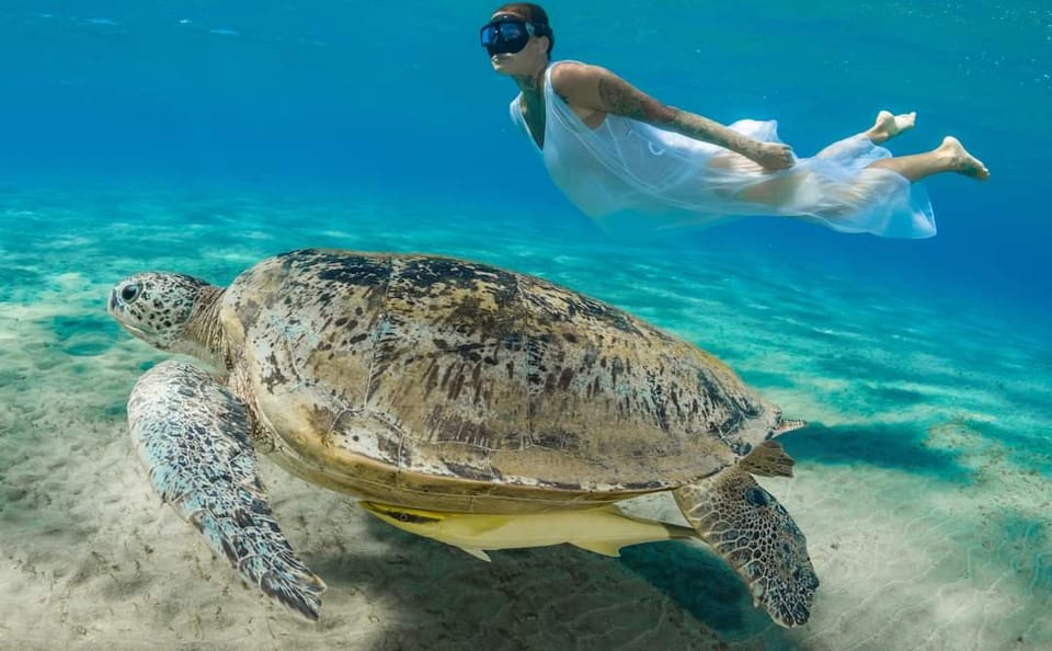 Premium Abu Dabbab Elite Turtle House & Snorkeling – Hurghada