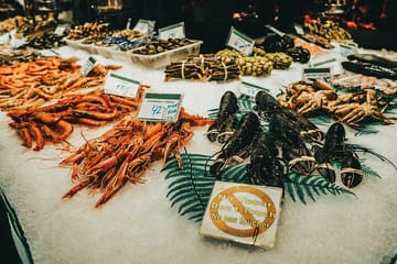 Private Full Day Tour of Barcelona by Car