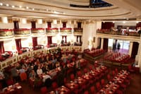 Piazzolla Tango Show in Buenos Aires (with optional dinner) 5