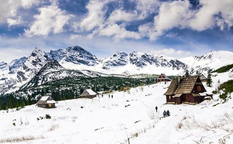 Zakopane: Tour from Krakow with Options