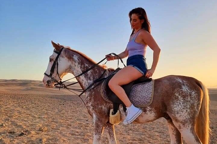 One Hour Horseback Riding Trip with Transfer - Sharm El Sheikh