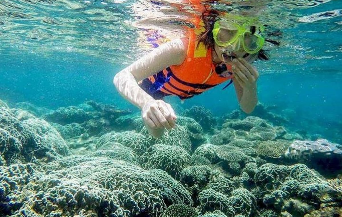 From Mui Ne To Vinh Hy Bay Snorkeling And Fishing Tour | Day Trip