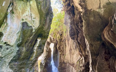 Private Day Trip to Preveli Palm Beach from Chania