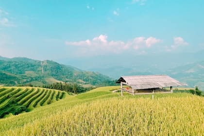 Private Car 2 Days 1 Night Hoang Su Phi in Hagiang