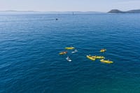 Sea Kayaking in Split