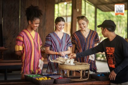 Feed Elephants at Elephant Jungle Sanctuary in Chiang Mai