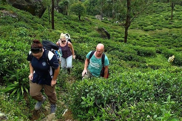 Overnight Adventure Camping at Knuckles