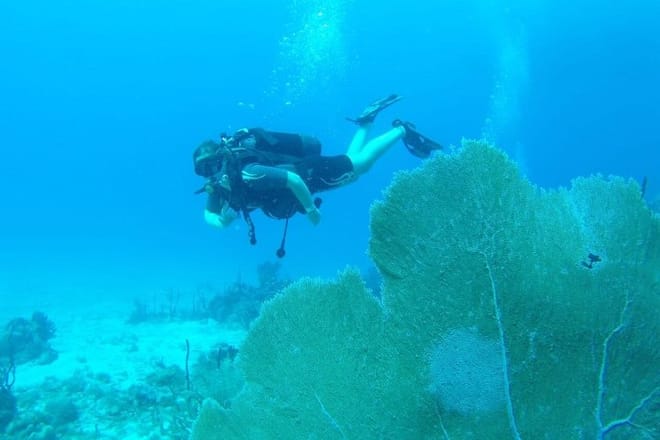 Scuba Diving at Catalina Island - 2 tank | 2 spots 9
