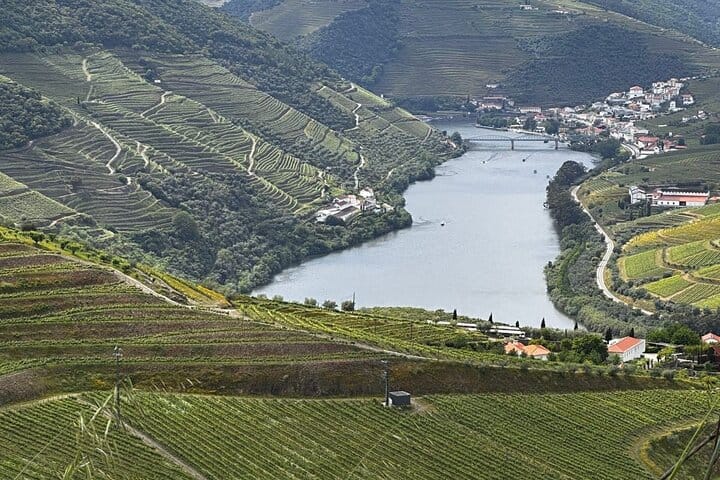 DOURO VALLEY & AMARANTE: Scenic or Wine Experience Private Tour