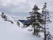 Deep Snow - Wilderness Skiing Experience in Pyhä-Luosto	 5