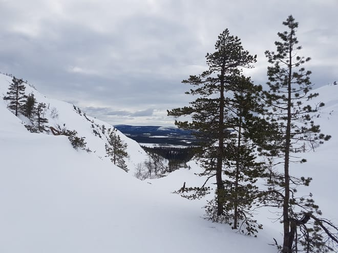 Deep Snow - Wilderness Skiing Experience in Pyhä-Luosto	 photo 5