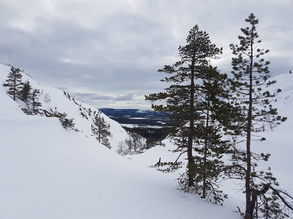 Deep Snow - Wilderness Skiing Experience in Pyhä-Luosto	 5