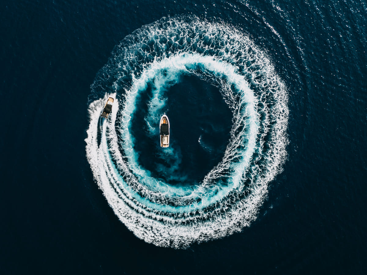 ❖ Alesta Raptor | Private