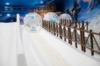 Abu Dhabi Snow Admission Ticket 3