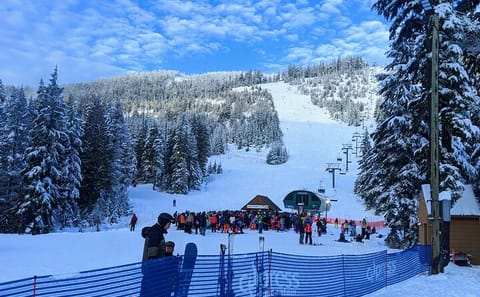 Private Adventure Tour of Grouse, Cypress, and Mount Seymour