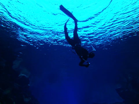 Silfra night freedive tour, photo 22