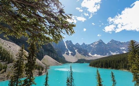Private Small Group Tour of Banff and Yoho National Parks
