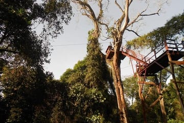 Jungle Fly: Adventure at the Jungle in Iguazu