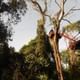 Jungle Fly - Adventure at the Jungle