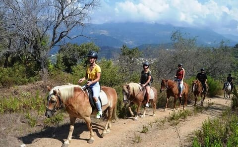 Horseback Riding Adventure in Alanya, Türkiye