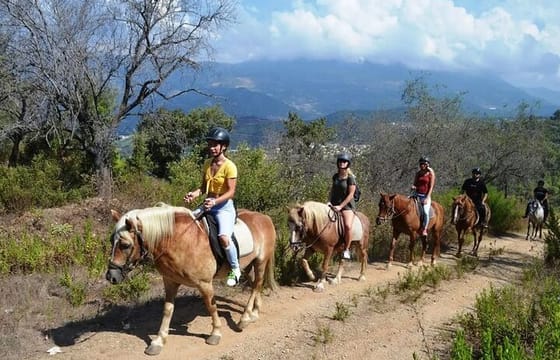 Alanya Horse Riding Experience