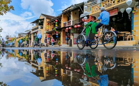 Da Nang and Hoi An Private Full Day Tour from Danang