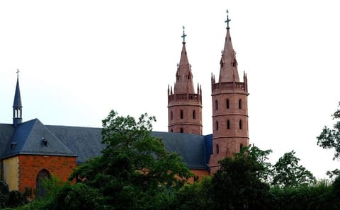 Explore Worms: Private Walking Tour of History and Art