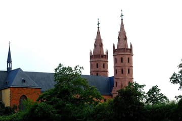 Explore Worms: Private Walking Tour of History and Art