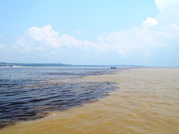 Half-Day Amazon Negro River Expedition from Manaus