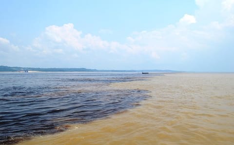 Half-Day Amazon Negro River Expedition from Manaus