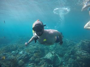Daily West Nusa Penida Island and Snorkeling Tour with Lunch from Bali