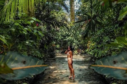 From San José: Arenal Volcano and Hot Springs